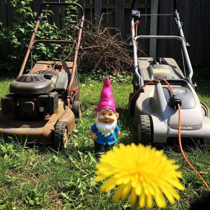 Scrappy Yard Mower Showdown: Gas vs. Electric - A Haphazard Lawn Care Story