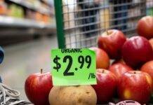 Organic vs Non-Organic: Is the Extra Cost Really Worth It? Grocery Store Chaos: Broke Energy & The Cracked Piggy Bank
