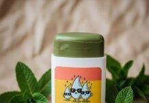 Top Natural Deodorant Brands That Keep You Fresh All Day My NYC Sweat Survival Deodorant