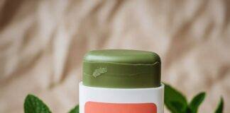 Top Natural Deodorant Brands That Keep You Fresh All Day My NYC Sweat Survival Deodorant