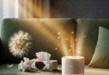 Best Air Purifiers for Allergies in 2025 (Tested & Ranked) Allergy Season Relief: A Sneezy Guide to Beating the Pollen Blues